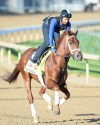 supplied photo
The highly touted Danza gets a workout.